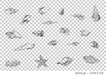 Seashell pen illustration Seashell pen illustration 23441158