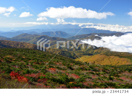 蔵王雲海 蔵王雲海 23441734