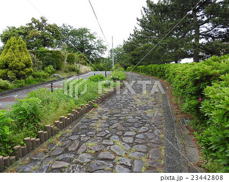 箱根旧街道(三島) 箱根旧街道(三島) 23442808