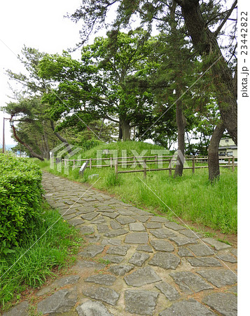 箱根旧街道（三島） 23442822