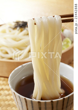ざるうどん 23442888