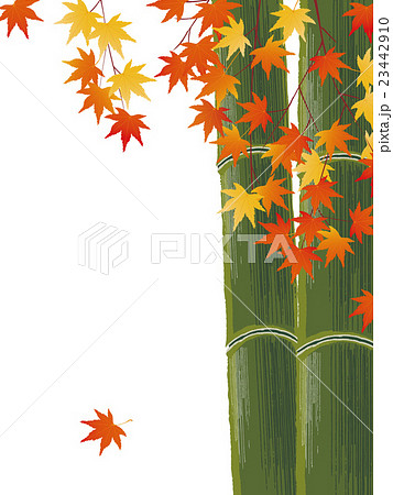 竹と紅葉のイラスト素材