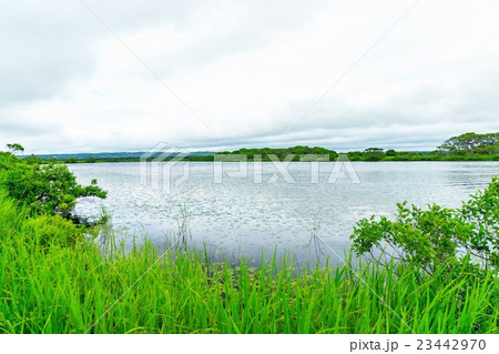 下サロベツ原野　長沼　（幌延町） 23442970