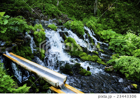 北海道 京極ふきだし公園 北海道 京極ふきだし公園 23443306