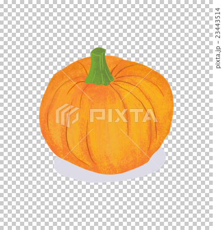 pumpkin 23443514