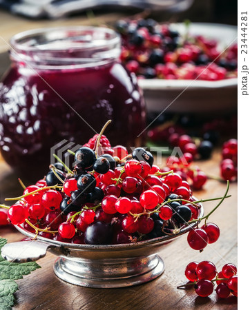 Red and black currants. Red currant jam with berry Red and black currants. Red currant jam with berry 23444281