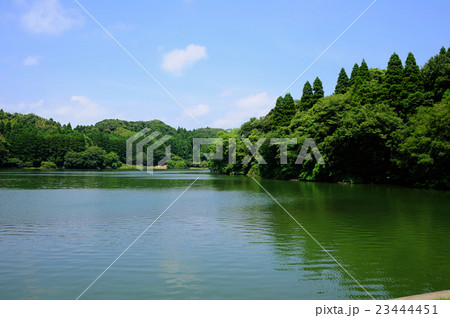 夏の雄蛇ヶ池 夏の雄蛇ヶ池 23444451