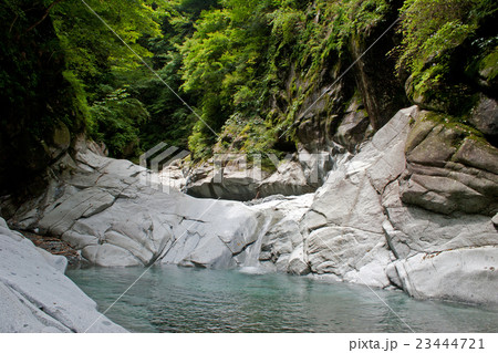 丹沢・玄倉川石棚　ユーシン渓谷 23444721