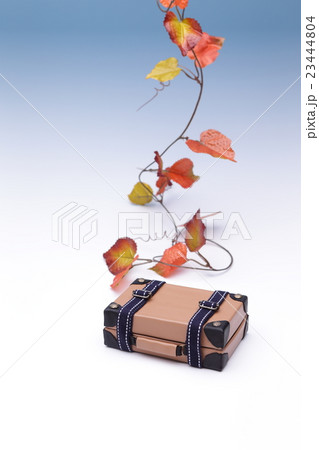 秋の旅行イメージ 23444804