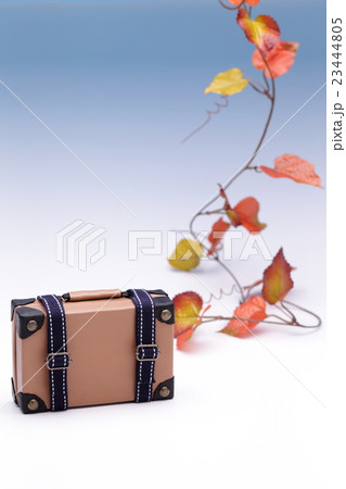 秋の旅行イメージ 23444805