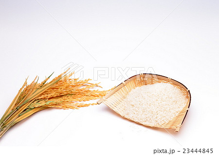 米の収穫イメージ 23444845