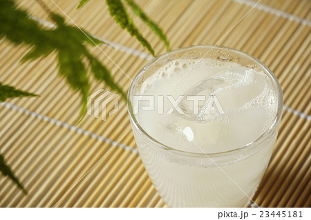 乳酸菌飲料 乳酸菌飲料 23445181