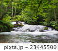 新緑と渓流 23445500