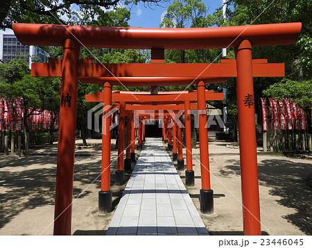 神戸の名所「湊川神社」境内にある「楠本稲荷神社」 23446045
