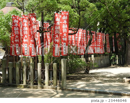 神戸の名所「湊川神社」境内にある「楠本稲荷神社」 23446046