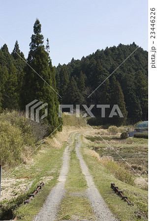 田舎道 23446226