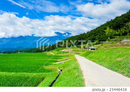 初夏の農村風景 (98) 初夏の農村風景 (98) 23446416