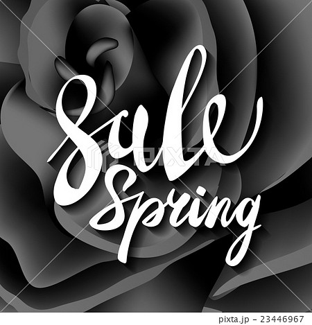 pretty flower black roses. text spring sale t 23446967