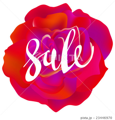 pretty flower red roses. text sale lettering 23446970