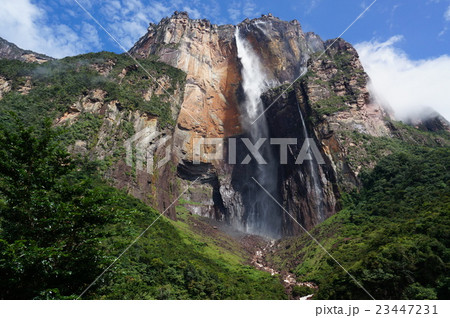 エンジェルフォール エンジェルフォール 23447231