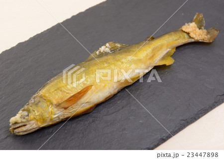 おいしい鮎塩焼 おいしい鮎塩焼 23447898