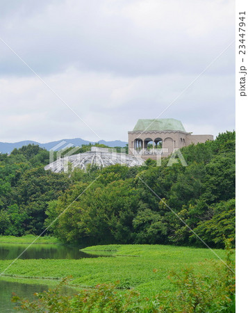 昆陽池公園・伊丹 23447941