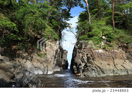 初夏の神割崎（三陸復興国立公園） 23448663