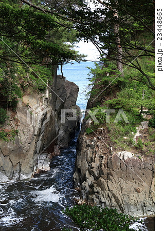 初夏の神割崎（三陸復興国立公園） 23448665