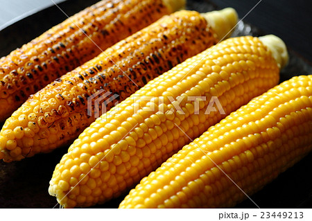 とうもろこし 23449213