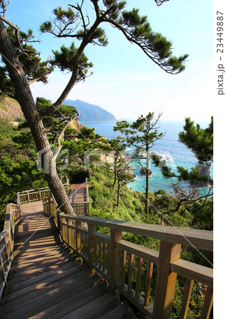 黄金崎海岸の風景 黄金崎海岸の風景 23449887