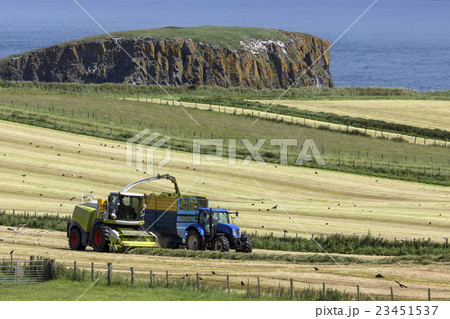Agriculture - Ballycastle - Northern Ireland 23451537