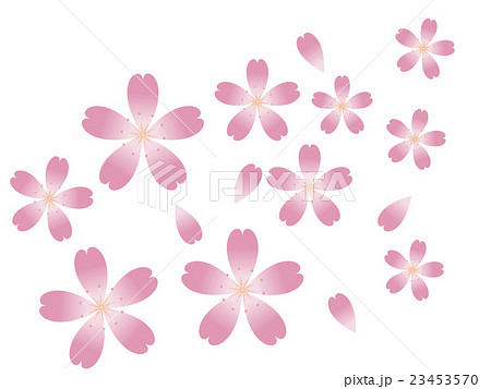 桃花色の桜花 和風 花柄 背景 透過のイラスト素材 23453570 Pixta