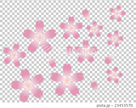 桃子花櫻桃樹 日本式 花卉設計 背景 透明 插圖素材 圖庫