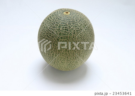 タカミメロン 23453641