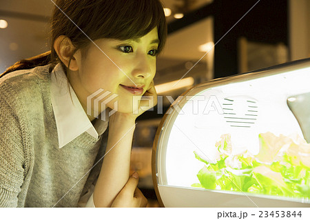 若い女性 撮影協力:TENOHA DAIKANYAMA 若い女性 撮影協力:TENOHA DAIKANYAMA 23453844