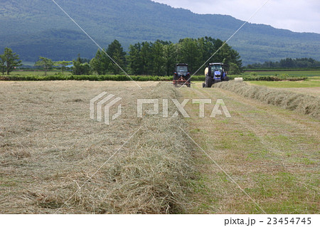 北海道 倶知安町 牧草畑 北海道 倶知安町 牧草畑 23454745