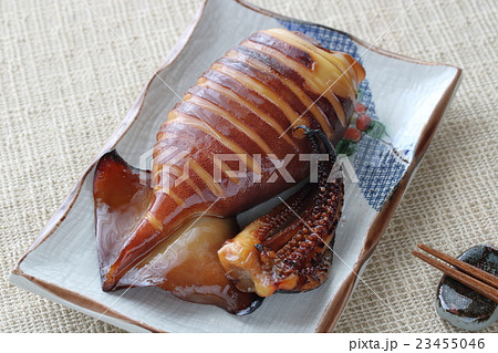 イカの照焼き 23455046