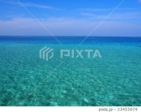 真っ青な空と海 23455074