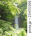 養老の滝 23455366