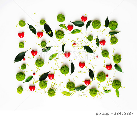 Pattern with petals of chrysanthemum flowers. 23455837