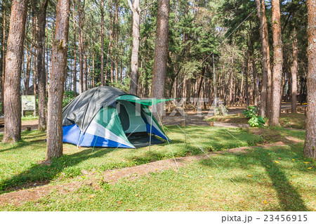 Dome tent camping in forest Dome tent camping in forest 23456915