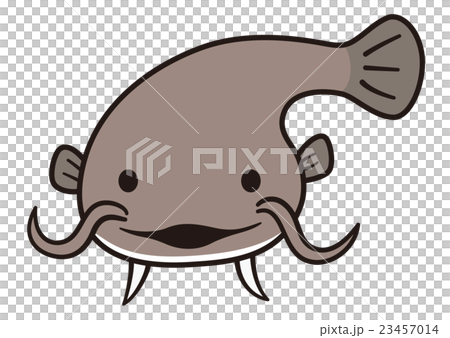 ナマズ ナマズ 23457014