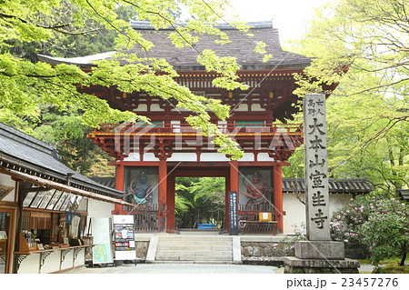 室生寺参門と新緑 23457276