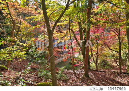 錦秋の石道寺 23457966