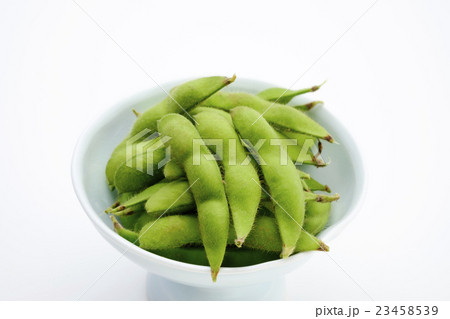 枝豆　採れたての枝豆　 23458539