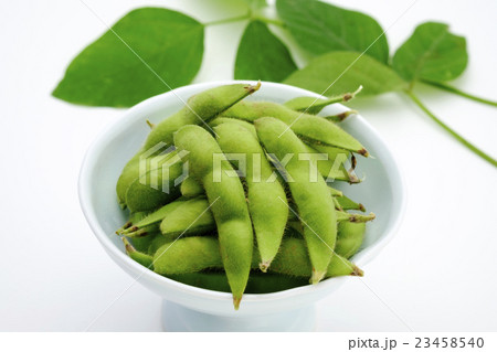 枝豆　採れたての枝豆　 23458540