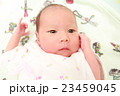 赤ちゃん 23459045