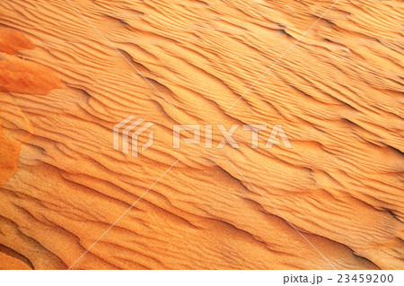 Texture of sand dune in desert 23459200