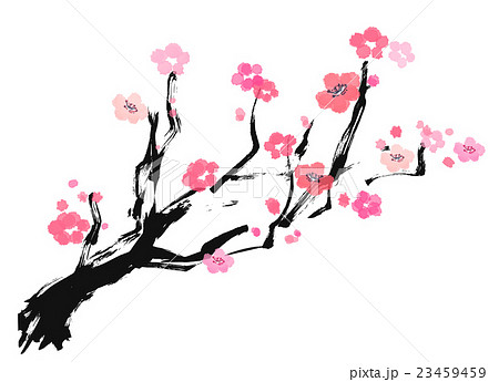 筆描きのイラスト素材 23459459 Pixta