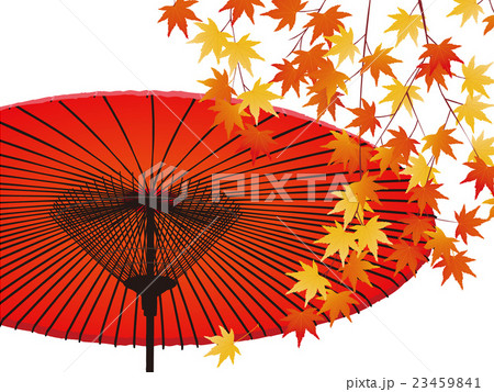 傘と紅葉 23459841